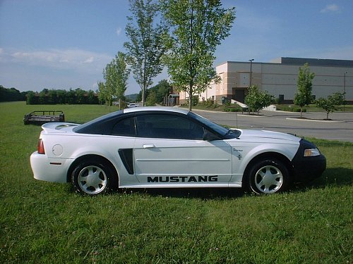 Mustang 03