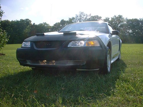Mustang 04