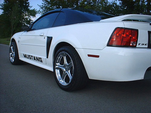 Mustang 06