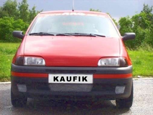 Fiat Punto 01