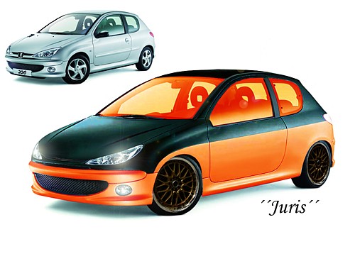 Peugeot206 - 1