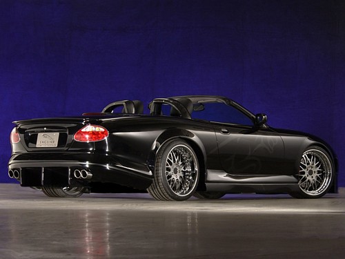 Jaguar - 2