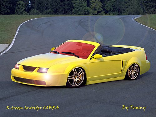 Cobra - 1